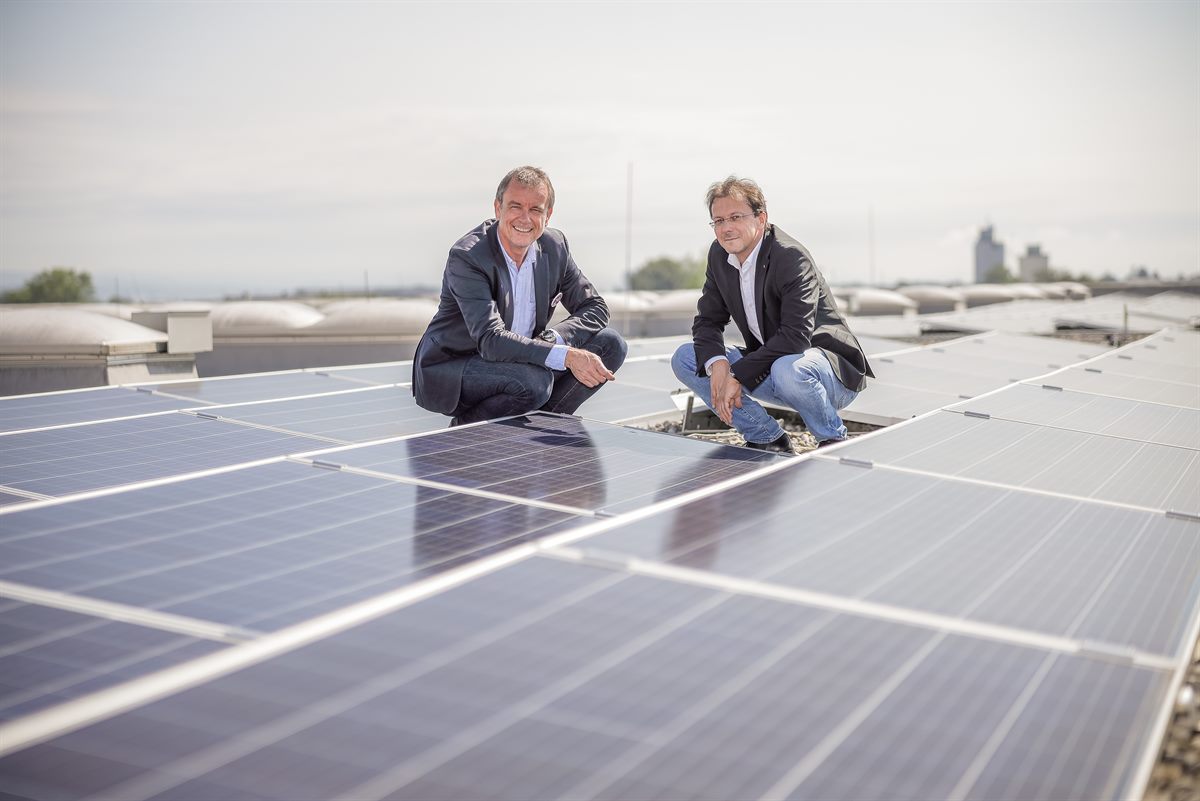 Roman Bartl (Fronius) und Gerald Gruber (dm) am Dach des Verteilzentrums mit der neuen Solaranlage. (vlnr) 