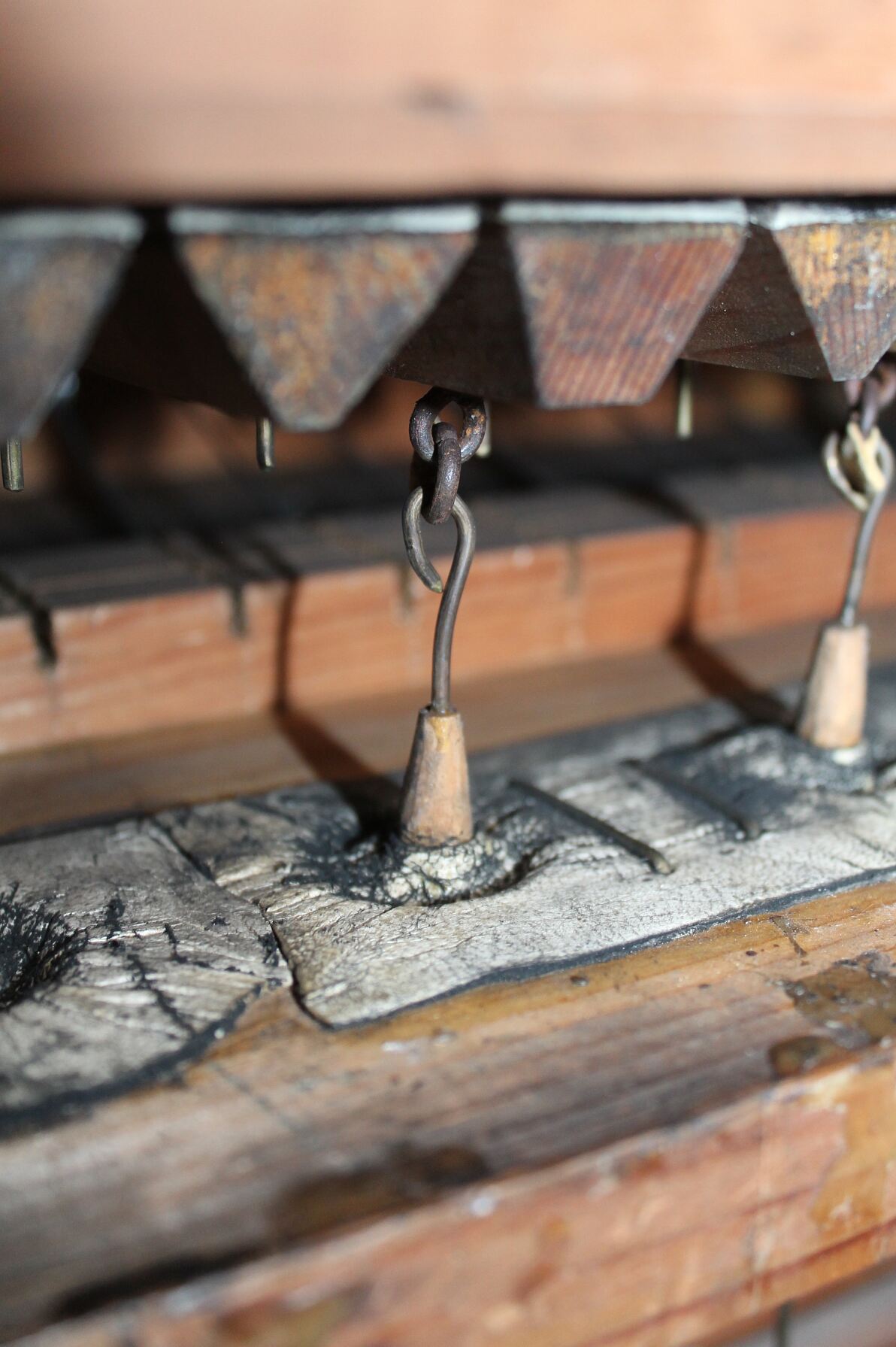 Barmherzige Brüder Pressebild 02