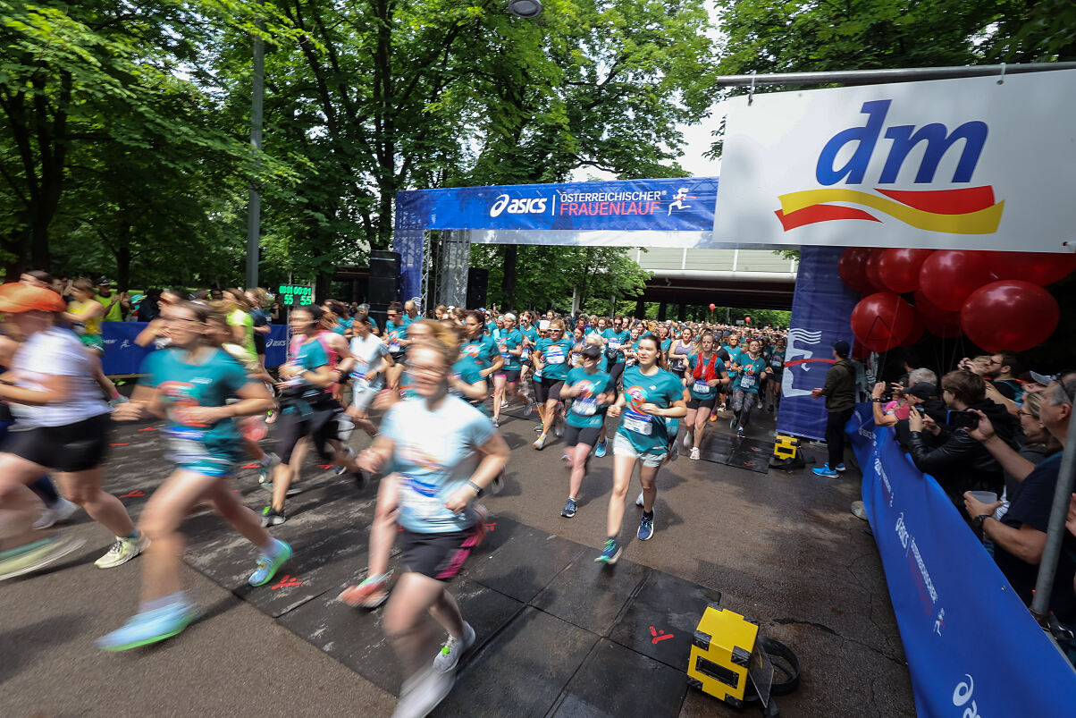 Pressebild dm Frauengesundheit 4 Frauenlauf