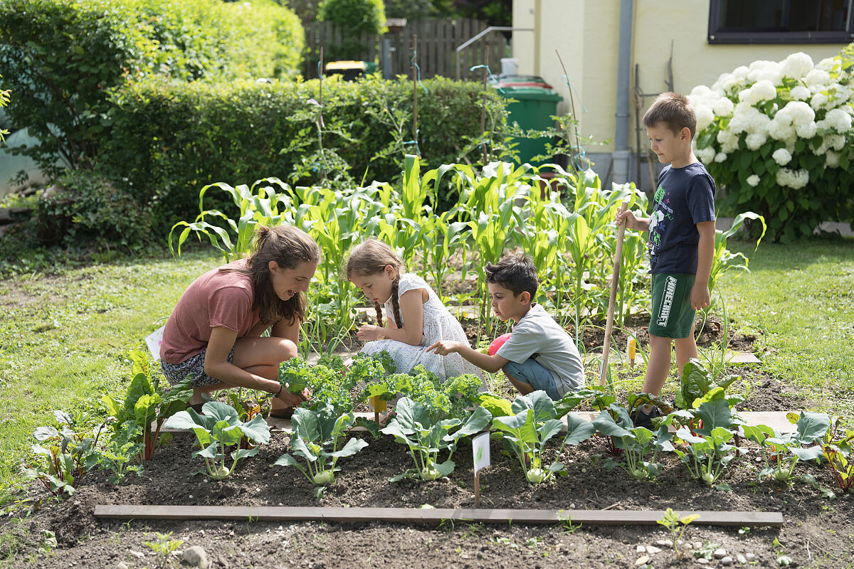 Acker Coach Svenja Hirsch mit Kindern des Kindergartens Froschheim am Kindergarten-Acker.