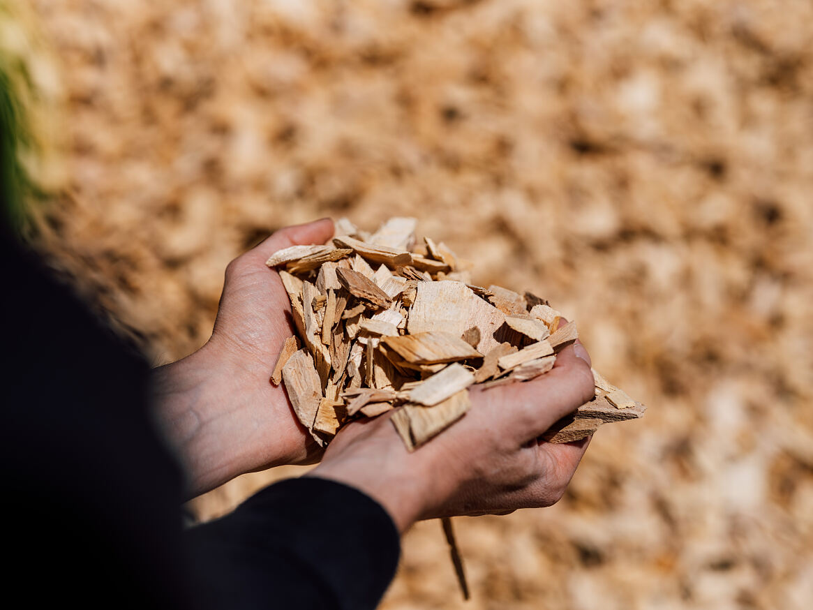 Am Anfang des Herstellungsprozesses steht die Gewinnung von Zellstoff aus Holzschnitzeln. 